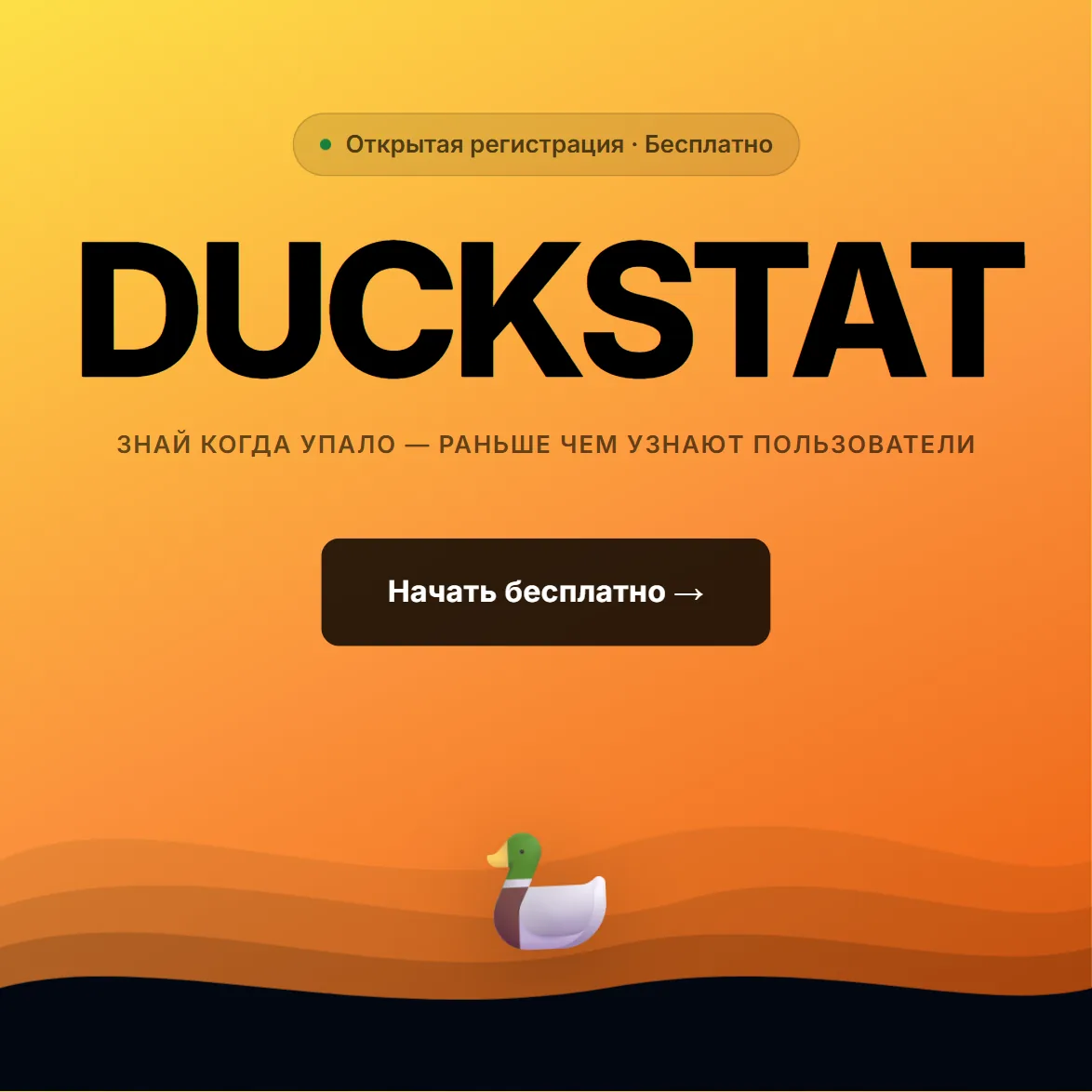 duckstat landing